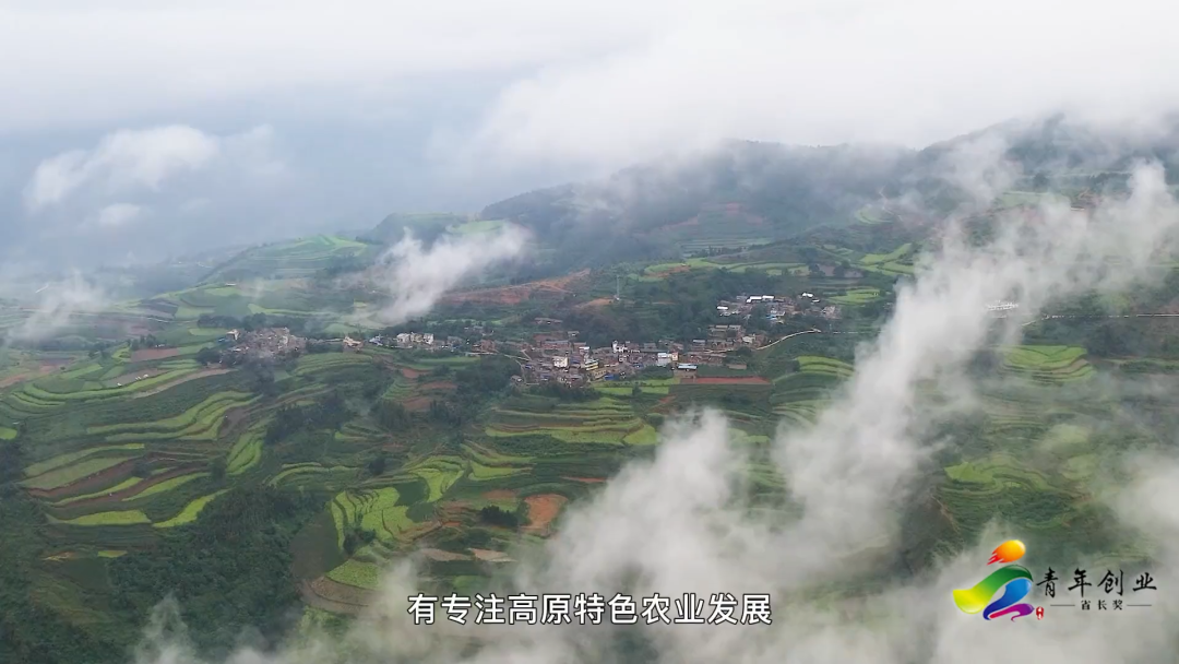 榜樣！云南青年創(chuàng)業(yè)省長(zhǎng)獎(jiǎng)名單公布